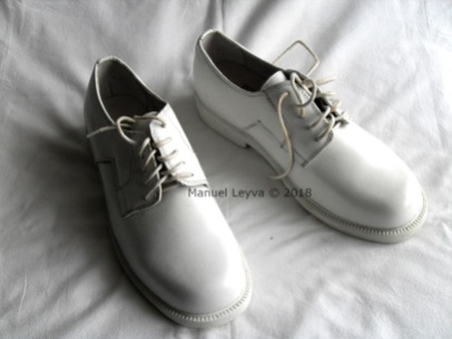 Dienstschuhe / service shoes / zapatos uniforme diario